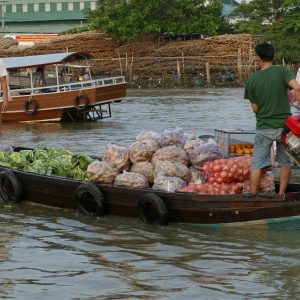 Delta Mekong