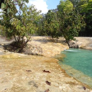KBV - Safari Jungle tour