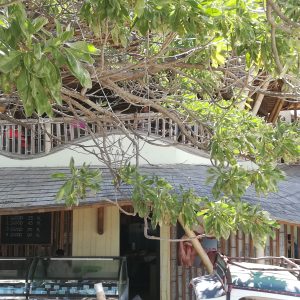 Balinese cooking class