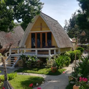 Lunch & Jungle Spa