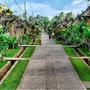 Classic Ubud