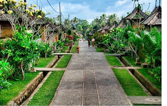 Classic Ubud