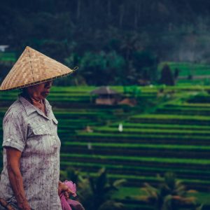Around Ubud