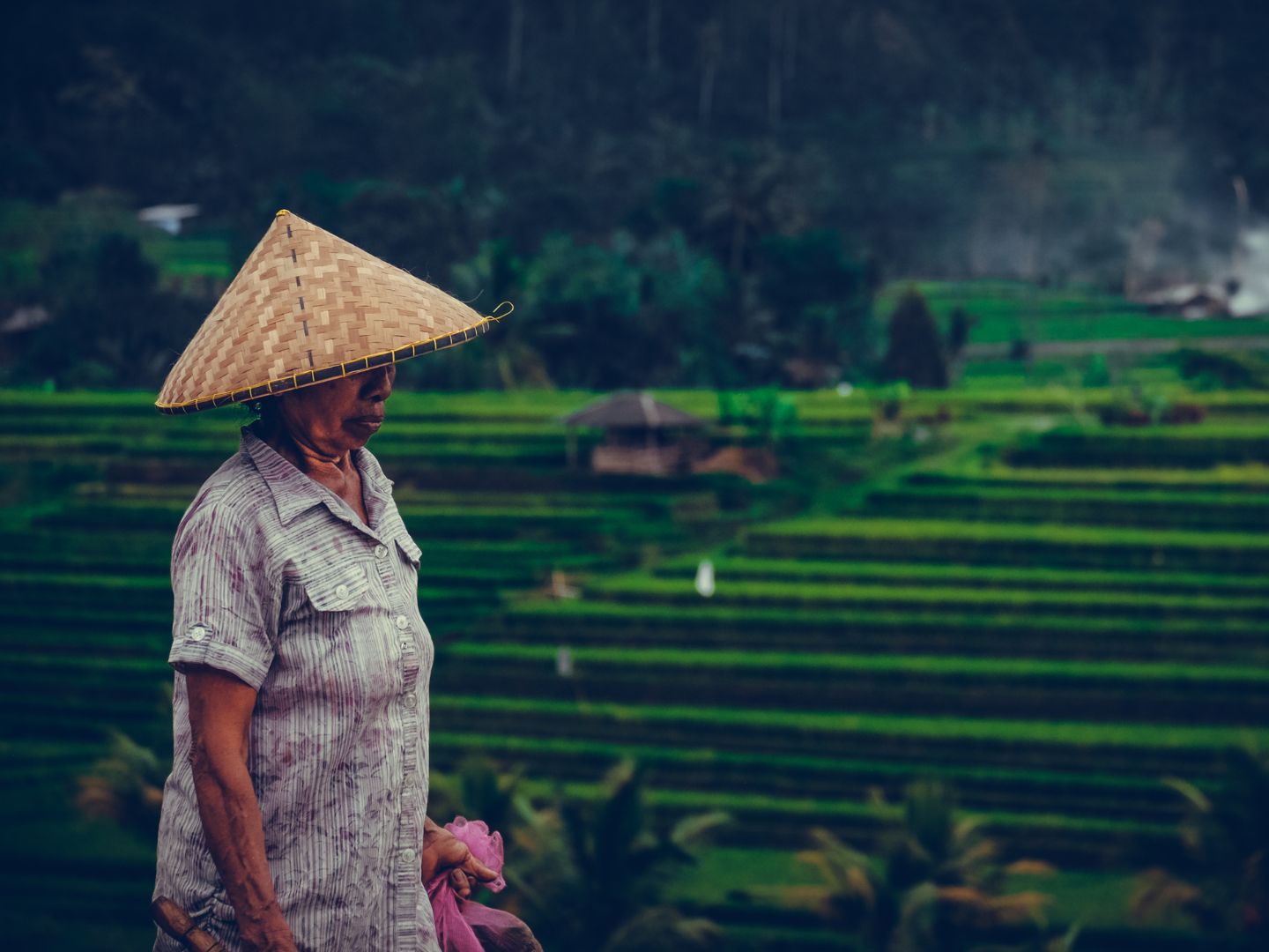 Around Ubud