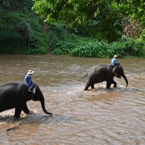 HKT - Safari Khao Lak