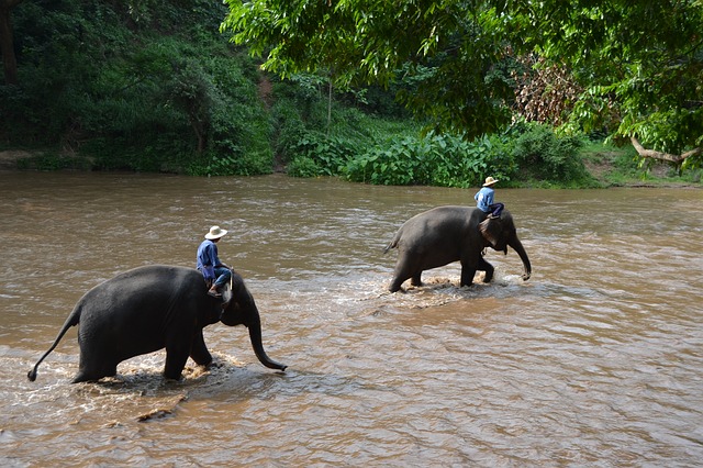 HKT - Safari Khao Lak